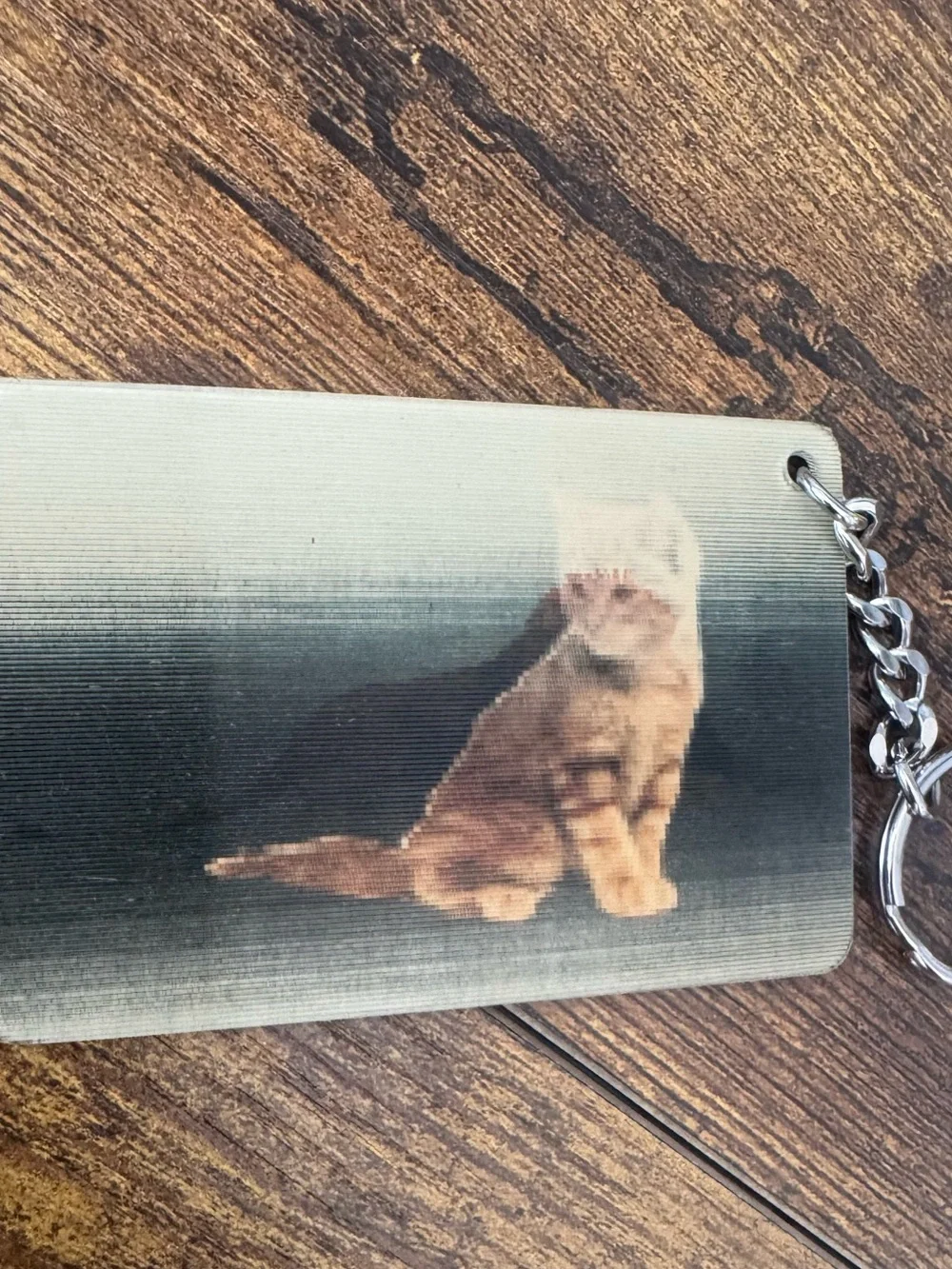MGM Grand Detroit Casino Lion & Kitten Lenticular 3D Flip Image Card Keychain